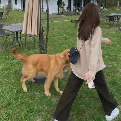 精神病姊妹花